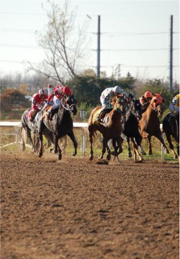View Niagara's Race Track & Feed Delivery Services