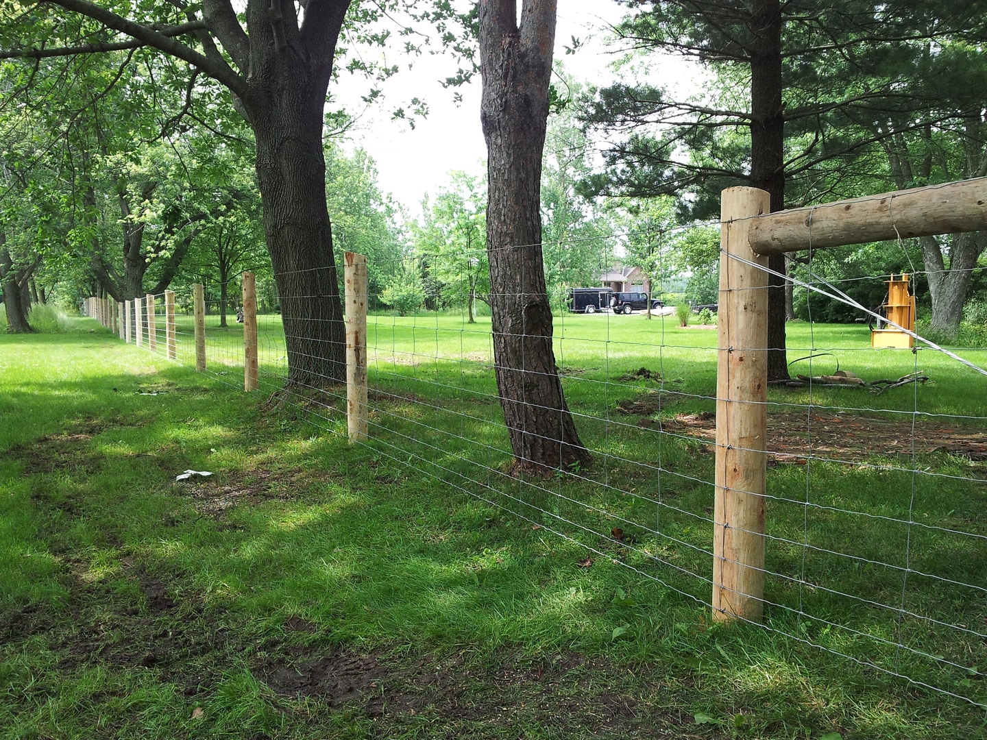 Paige Wire Fence - Gallery - Post Time Services