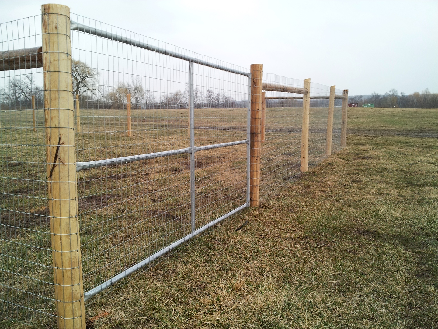 Paige Wire Fence - Gallery - Post Time Services