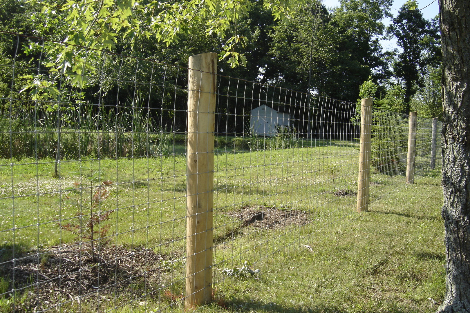 Paige Wire Fence - Gallery - Post Time Services