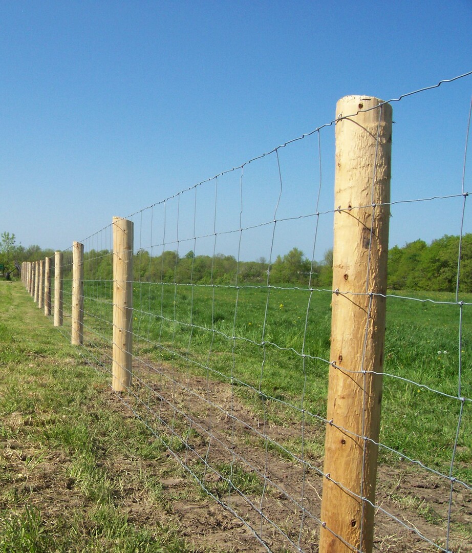 Paige Wire Fence - Gallery - Post Time Services