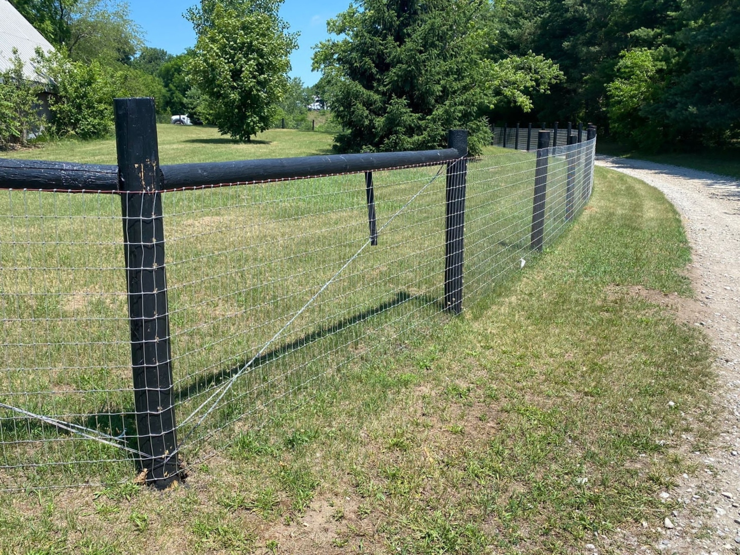 Paige Wire Fence - Gallery - Post Time Services