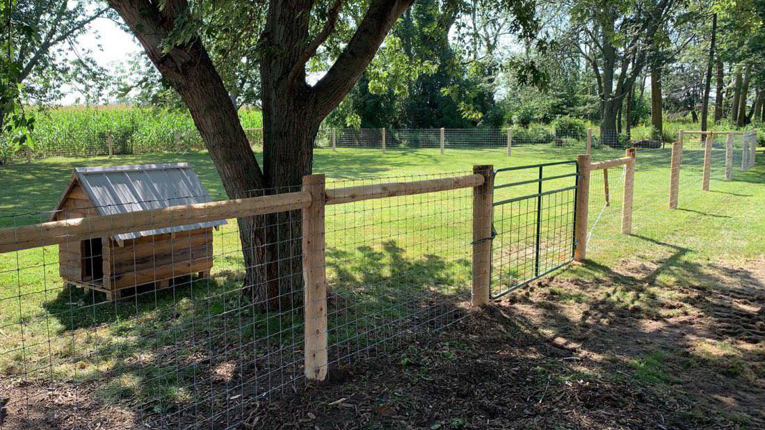 Paige Wire Fence - Gallery - Post Time Services