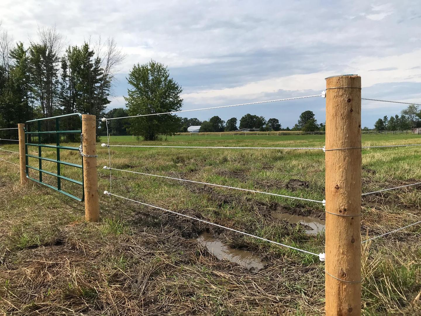 Electric Fence - Gallery - Post Time Services